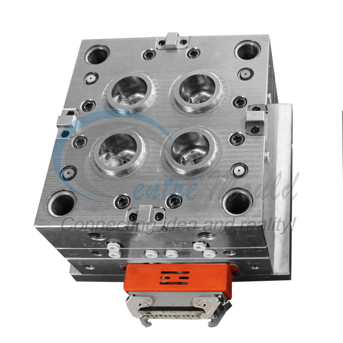 cap mould 04