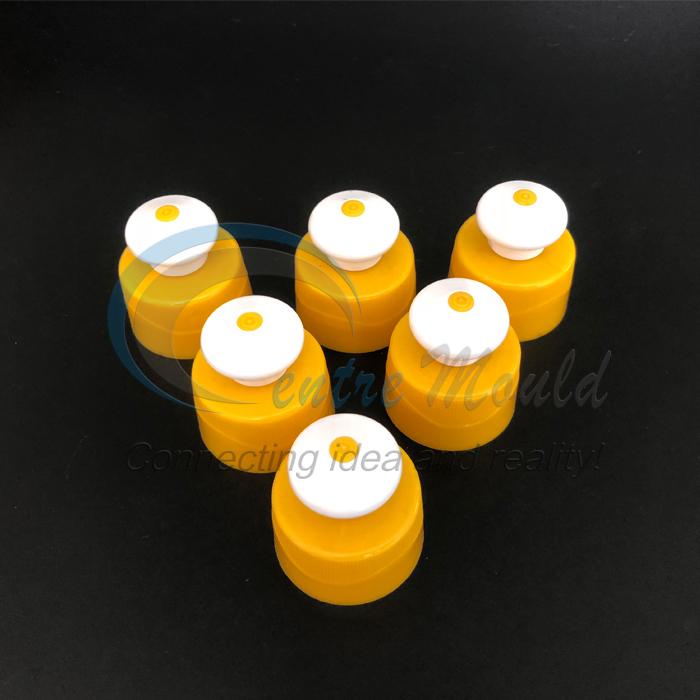 cap mould 08